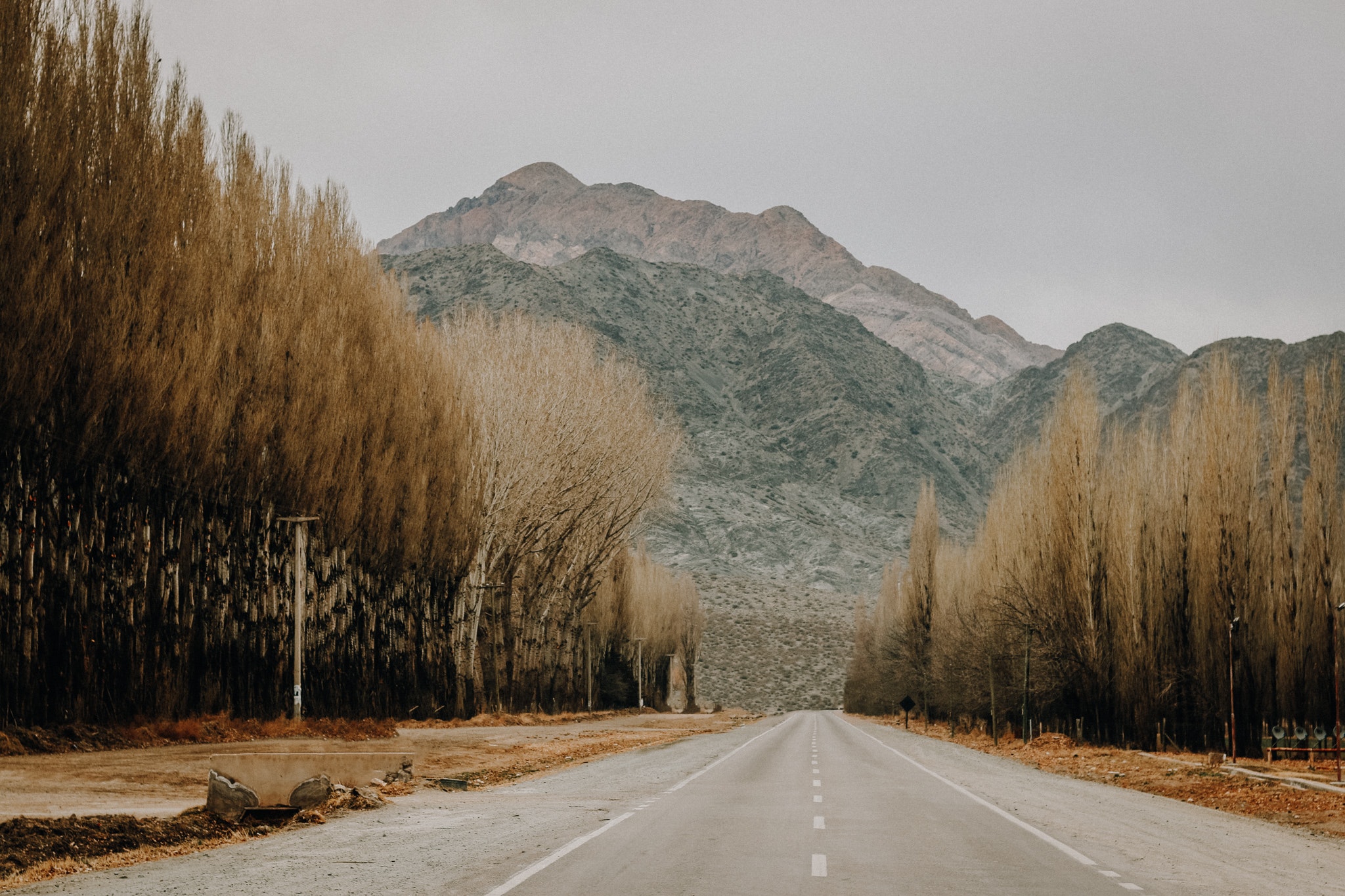 Photo of road leading through trees towards mountain