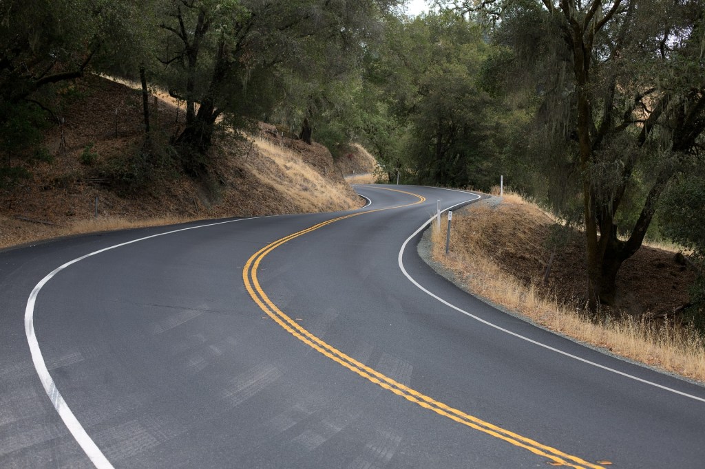 Photo of winding road through trees